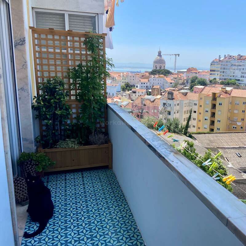 Ein malerischer Balkon mit gemusterten Fliesen, auf dem Pflanzen, eine schwarze Katze und bunte Wäscheklammern stehen, bietet einen Blick auf eine pulsierende Stadtlandschaft mit historischen Gebäuden und einer Kuppel in der Ferne.