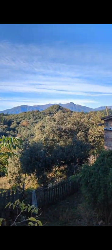 Una apacible escena rural con frondosos árboles verdes, una valla de madera, lejanas montañas azules, un cielo azul con vetas de nubes y parte de una casa.