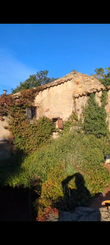 Esta imagen muestra una antigua casa rústica de piedra con tejado de tejas, parcialmente cubierta por frondosas plantas trepadoras verdes y rojas bajo un cielo azul despejado.