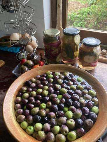 Auf der Küchentheke steht eine Schüssel mit frischen Oliven, die in Wasser einweichen, umgeben von Eiern, Tomaten und Gläsern mit selbstgemachten eingelegten Gurken, ganz in der Nähe eines Fensters.