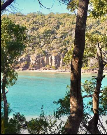 Kristallklares, türkisfarbenes Wasser umspült sanft einen Sandstrand. Hohe Bäume rahmen die Szene ein, und üppiges, grünes Laub bedeckt den Hang hinter den Klippen. Ein friedliches Paradies.