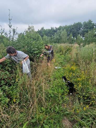 Two people are picking berries in a lush, overgrown field. A black and white cat watches them curiously amidst tall grass and yellow wildflowers.