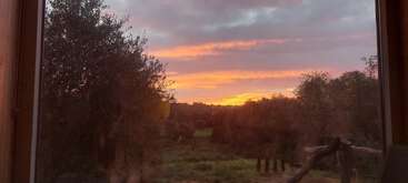 À travers une fenêtre, un coucher de soleil éclatant illumine le ciel de teintes roses, orangées et violettes, au-dessus d'un paysage verdoyant encadré par des arbres et une clôture rustique en bois.
