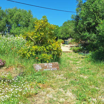 A sunny garden path surrounded by lush greenery and wildflowers. A wooden sign reads "La vida son momentos," reminding viewers to cherish life’s special moments.