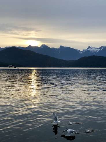 El sol se pone detrás de las montañas nevadas, proyectando un reflejo dorado sobre el tranquilo lago. Dos gaviotas rozan la superficie del agua, creando suaves ondas.
