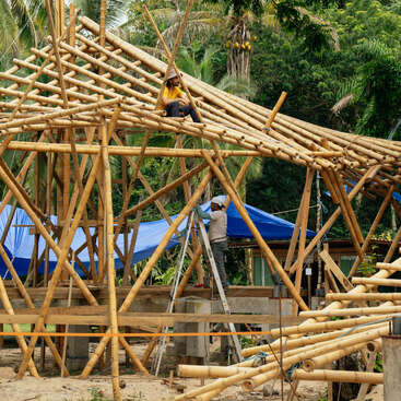 Dois trabalhadores estão construindo uma estrutura de bambu no meio de uma vegetação exuberante. Um deles está em cima de uma escada, enquanto o outro está sentado na estrutura do telhado, cercado por palmeiras.