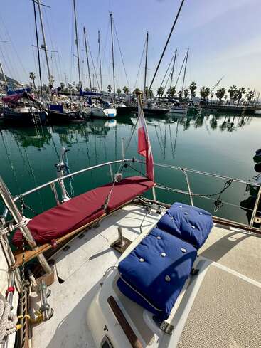 A marina with sailboats docked, viewed from a boat’s deck featuring red and blue cushioned seats. Calm water reflects masts; palm trees line the shore.