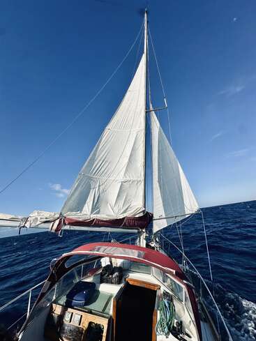 A sailboat with white sails glides over deep blue ocean waters under a clear sky, creating a peaceful and adventurous scene with sunlight and open sea.