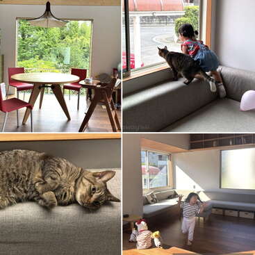 Uma casa aconchegante e moderna, com janelas amplas. Uma criança e um gato exploram a sala bem iluminada. A luz do sol enche os cômodos, criando um ambiente aconchegante e convidativo.