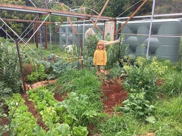 A young child stands in a lush, green vegetable garden surrounded by various plants. Metal framework and water tanks are visible in the background.