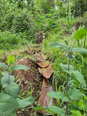 Ein kleiner Bach fließt durch einen üppigen, grünen Wald, geleitet von einem handgefertigten Steinbett. Hohes Gras und verschiedene Pflanzen umgeben diese natürliche Szenerie.
