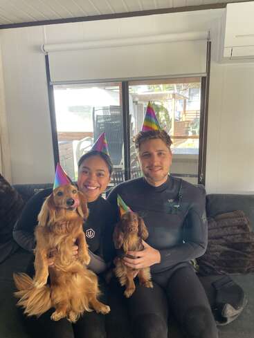 Ein glückliches Paar sitzt auf einer Couch, jeder hält einen Hund. Alle vier tragen bunte Partyhüte und feiern gemeinsam in einem gemütlichen, sonnendurchfluteten Wohnzimmer.