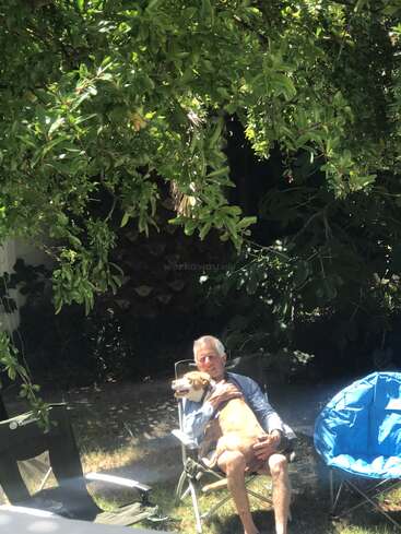 Ein älterer Mann sitzt auf einem Gartenstuhl unter laubigen Bäumen und hält glücklich einen Hund auf seinem Schoß. Das Sonnenlicht fällt durch die Blätter und schafft eine friedliche, entspannte Atmosphäre.