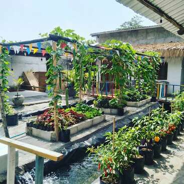 Um vibrante jardim urbano apresenta canteiros de vegetais, trepadeiras suspensas, pimentões coloridos e um pequeno riacho. Bandeiras triangulares festivas decoram o espaço exuberante, verde e convidativo.