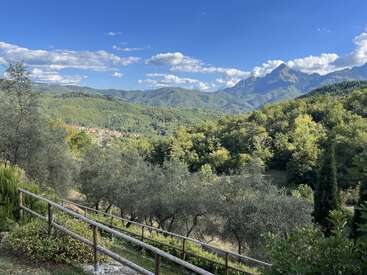 Eine malerische Landschaft mit sanften grünen Hügeln, fernen Bergen und einem teilweise bewölkten Himmel. Olivenbäume und ein rustikaler Holzzaun umrahmen den friedlichen Blick auf die Landschaft.
