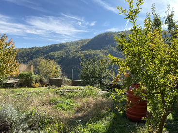 Ein sonnenbeschienener Garten mit üppigem Grün, Bäumen und einem roten Fass im Vordergrund. Rollende bewaldete Hügel und blauer Himmel mit Wolkenfetzen im Hintergrund.