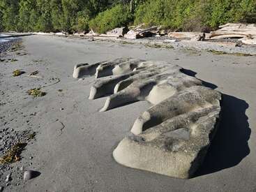 An einem Sandstrand steht eine große, einzigartig erodierte Felsformation, deren rippenartige Struktur einen Kontrast zum glatten Sand bildet, umgeben von Treibholz und dichtem, grünem Wald.