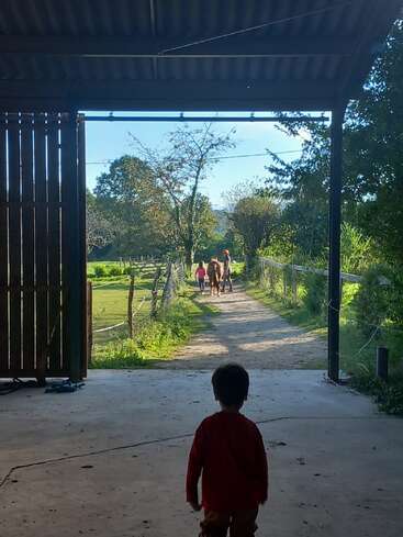 Ein kleines Kind steht in einer Scheune und blickt auf Menschen und Pferde, die einen sonnenbeschienenen Weg entlanglaufen, umgeben von üppigen grünen Bäumen und Landschaften.