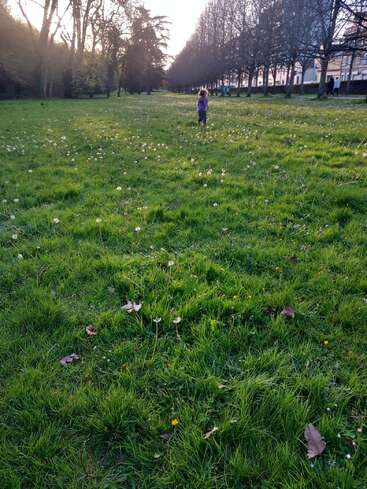 Ein Kind steht allein in einem grasbewachsenen Park voller Löwenzahn, umgeben von hohen Bäumen und weit entfernten Gebäuden, gebadet im weichen Abendsonnenlicht.