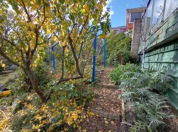 A lush garden path winds between yellow-leaved trees, green shrubs, and a green building, illuminated by sunlight under a blue sky, creating a peaceful atmosphere.