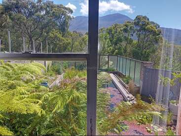 A garden view through a window showing lush ferns, a glass fence, surrounding trees, and a distant mountain under a bright blue sky with clouds.