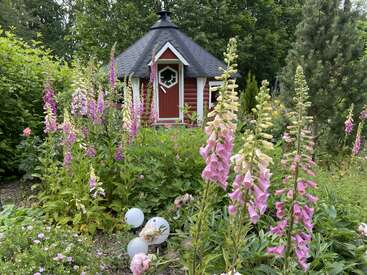 A charming small red hut sits in a lush garden filled with tall pink foxgloves, green foliage, and white decorative garden orbs under a wooded canopy.