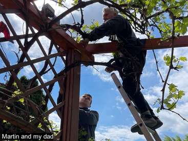 Dos hombres, uno en una escalera y otro debajo, trabajan en un enrejado de madera cubierto de enredaderas bajo un cielo azul brillante. Texto: "Martin y mi padre".