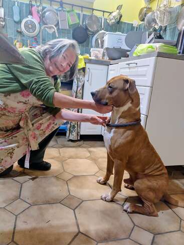 A smiling woman in a floral apron kneels, holding a brown dog’s face lovingly in a cozy kitchen filled with pots, pans, and utensils.