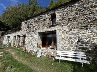 A rustic stone house with wooden-framed windows sits amidst greenery. A white bench is in front. Various potted plants and trees surround the charming countryside home.