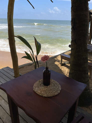 Une table en bois avec une simple fleur dans une bouteille se trouve au bord de la plage. Des palmiers donnent de l'ombre et les vagues s'écrasent doucement sur le rivage. Ambiance sereine.