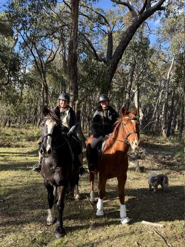 Dos personas con casco cabalgan por un claro del bosque iluminado por el sol, mientras un pequeño perro permanece cerca. Altos árboles los rodean, creando una escena tranquila y natural.