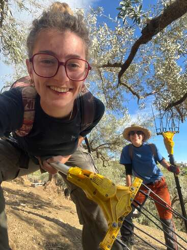 Two people are smiling among olive trees, holding harvesting tools. They appear to be working outdoors on a sunny day, enjoying the experience together in nature.
