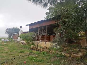 Ein rustikales Haus mit einer hölzernen Veranda steht mitten im Grünen. Bäume und Sträucher umgeben es, während eine Steineinfassung und ein Tisch im Freien für Charme und Charakter sorgen.