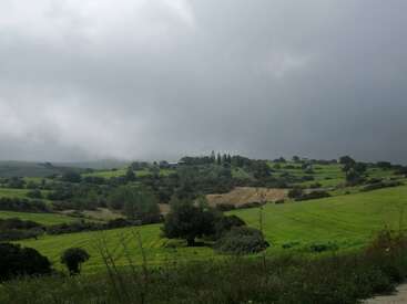 Eine üppig grüne Landschaft erstreckt sich über sanfte Hügel mit Bäumen und Sträuchern unter einem stimmungsvollen, bedeckten Himmel. Die Atmosphäre ist frisch und friedlich.