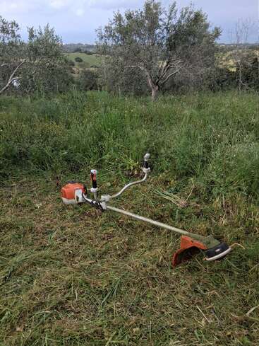 Une débroussailleuse repose sur de l'herbe fraîchement coupée dans un champ à la campagne, entouré d'oliviers. En arrière-plan, on aperçoit des collines ondulantes sous un ciel nuageux.