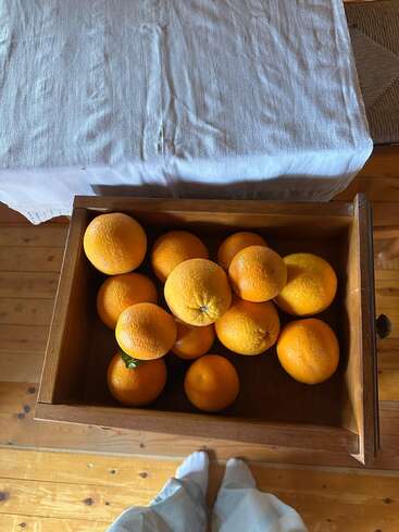 Un tiroir en bois rempli d'oranges bien mûres repose sur un plancher en bois. On aperçoit une paire de pieds chaussés de chaussettes blanches et d'un pantalon, ainsi qu'une table recouverte d'une nappe.