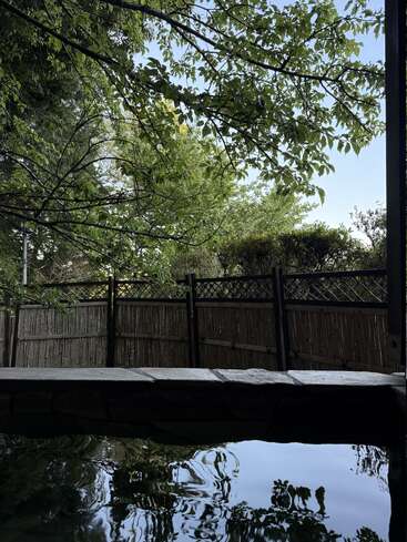 A tranquil outdoor scene features lush green trees, clear blue sky, wooden fencing, and the reflective surface of a still pool of water. Peaceful atmosphere prevails.