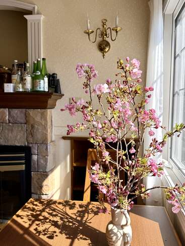 A vase of pink cherry blossoms sits on a sunlit wooden table by a window, casting shadows. Bottles rest atop a stone fireplace mantel nearby.