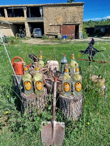 In a grassy yard, bottles labeled "Puyol" sit on tree stumps with a shovel, a watering can, and a witch decoration, rustic building behind.