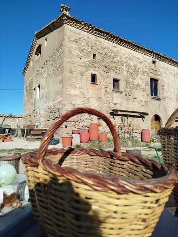 A rustic stone building stands under a clear blue sky. In the foreground, wicker baskets and garden pots create a charming, rural atmosphere filled with sunlight.
