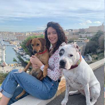 A woman sits on a ledge with two dogs, overlooking a harbor with boats and buildings in the background on a sunny day.