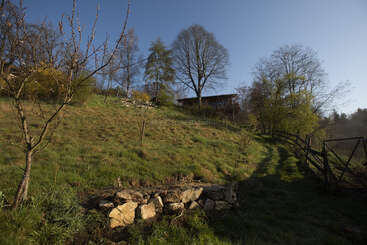 Une colline herbeuse en pente, parsemée d'arbres clairsemés, avec une clôture rustique en bois, des rochers et une maison partiellement visible au sommet, le tout sous un ciel bleu limpide.