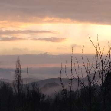 Das Bild zeigt eine ruhige Landschaft mit einem wolkenverhangenen Himmel, mit Bäumen und Hügeln im Vordergrund und einem nebelverhangenen Tal darunter, vor dem Hintergrund eines warmen und lebendigen Sonnenuntergangs.