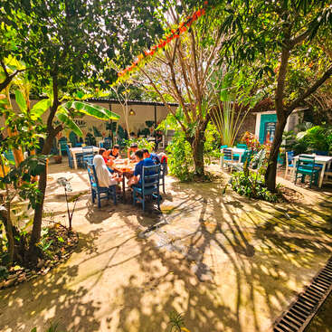 Un groupe de personnes est assis autour d'une table dans un café en plein air baigné de soleil, au milieu d'arbres verdoyants, de chaises bleues et d'une lumière naturelle éclatante.