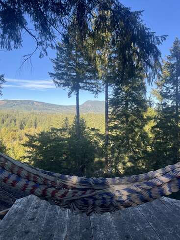 A colorful woven hammock hangs over a wooden deck, surrounded by tall pine trees with mountains and a blue sky in the serene background. Peaceful nature scene.