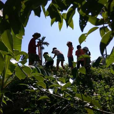 The image depicts a group of people working together in a lush, tropical environment, surrounded by vibrant greenery and a clear blue sky.