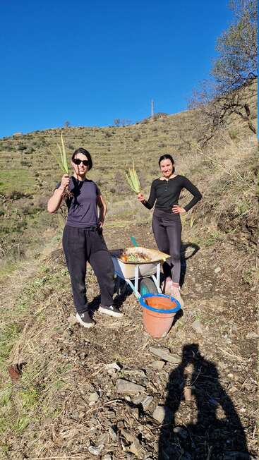 Dos mujeres están al aire libre en la ladera de una colina, sosteniendo unas plantas junto a una carretilla y un cubo, disfrutando del sol y de las tareas de jardinería bajo un cielo azul y despejado.