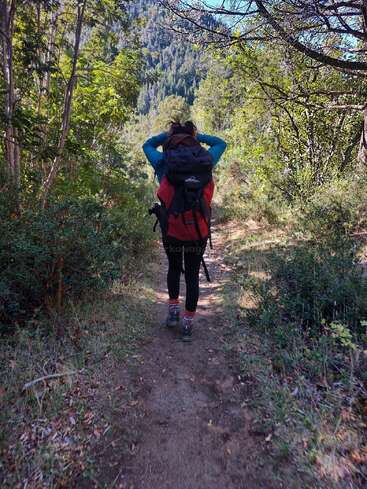 Un randonneur avec un gros sac à dos marche sur un sentier forestier, entouré de verdure et d'arbres luxuriants, en direction de montagnes lointaines, sous un ciel clair et ensoleillé.
