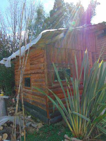 A luz do sol ilumina uma cabana de madeira rústica com telhado inclinado, cercada por vegetação e plantas altas. Troncos, galhos e a natureza realçam a cena aconchegante.