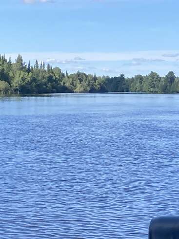 A calm, blue lake stretches beneath a clear sky. Lush green trees line the distant shore, reflecting peacefulness and natural beauty on a sunny day.